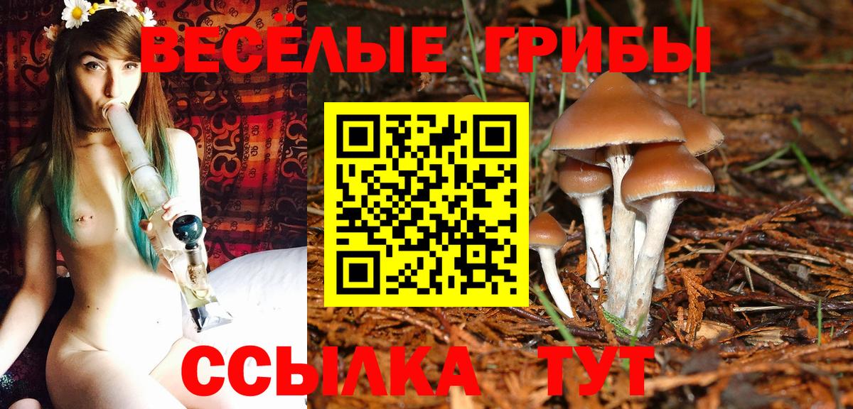 Галлюциногенные грибы мицелий Дербент