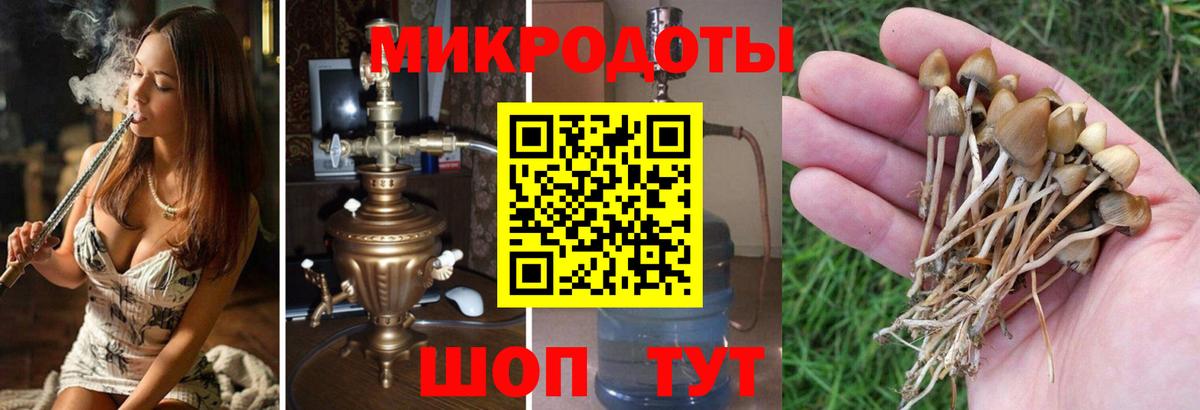Дербент  Галлюциногенные грибы GOLDEN TEACHER  Вход с VPN  Псилоцибиновые грибы прущие грибы 